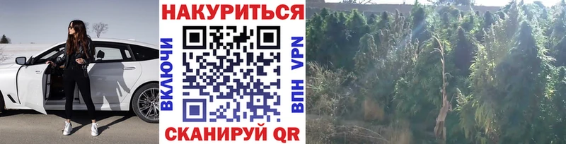 Купить Гашиш  A-PVP  МЕФ  Канабис  БУТИРАТ  Кокаин  Галлюциногенные грибы  Щёлкино