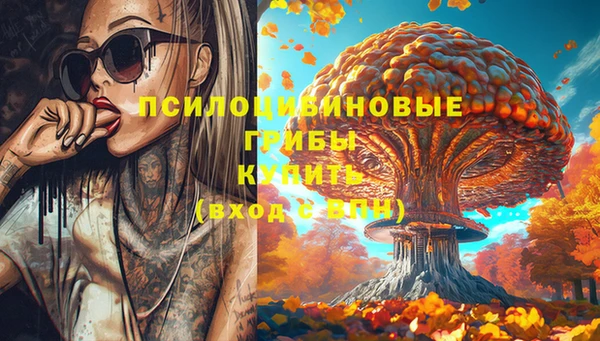 гашишное масло Богородицк